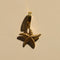 Gold Starfish