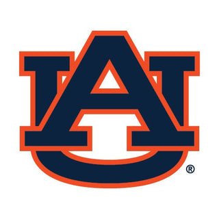 Auburn University - Nickel & Suede