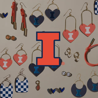 University of Illinois - Nickel & Suede