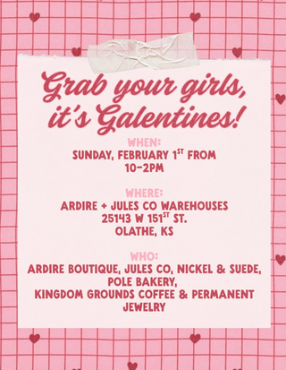 Image of Nickel &amp; Suede