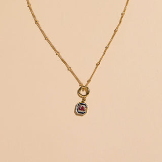 University of South Carolina Charm Necklace