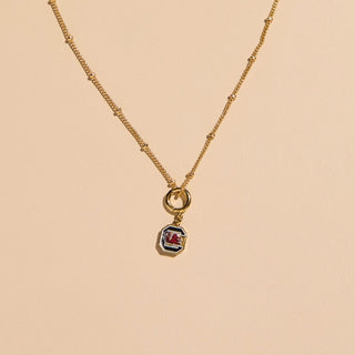 University of South Carolina Gamecocks Charm
