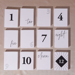 Collector's Edition Advent Calendar - Nickel & Suede