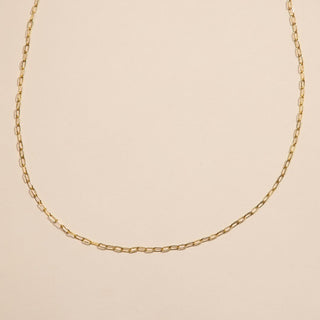 Gold Mini Paper Clip Chain Layering Necklace - Nickel & Suede