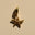 Gold Starfish 