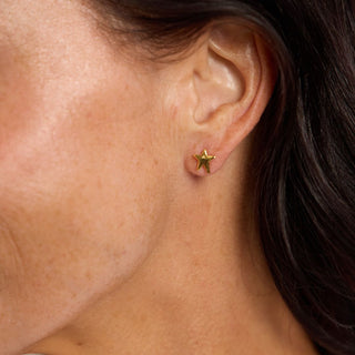 Gold Superstar Stud Earrings - Nickel & Suede