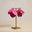 Paradise Pink