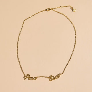 Penn State Script Necklace - Nickel & Suede