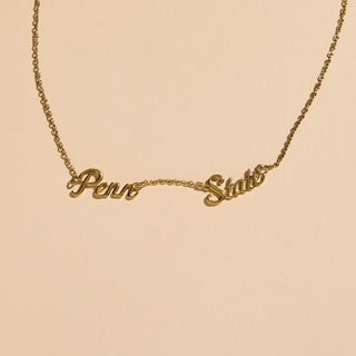 Penn State Script Necklace - Nickel & Suede