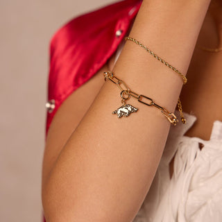 University of Arkansas Charm Bracelet - Nickel & Suede