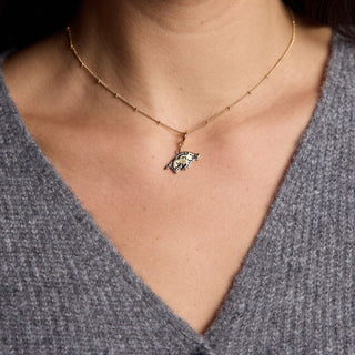 University of Arkansas Charm Necklace - Nickel & Suede