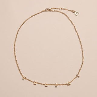 University of Illinois "ILLINI" Initial Necklace - Nickel & Suede