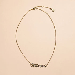University of Kentucky Wildcats Script Necklace - Nickel & Suede