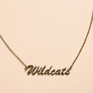 University of Kentucky Wildcats Script Necklace - Nickel & Suede