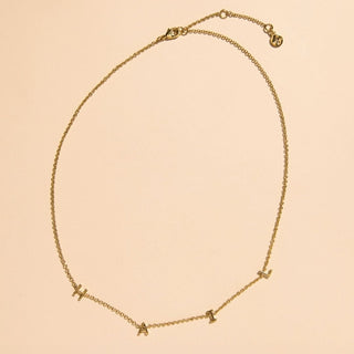 University of Michigan "HAIL" Initial Necklace - Nickel & Suede