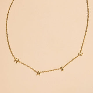 University of Michigan "HAIL" Initial Necklace - Nickel & Suede