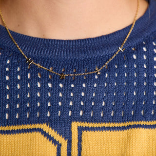 University of Michigan "HAIL" Initial Necklace - Nickel & Suede