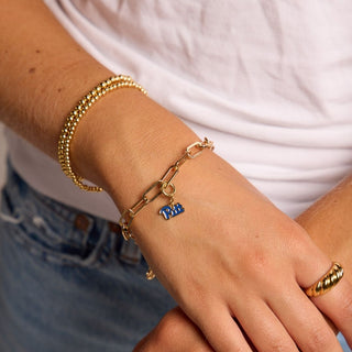 University of Pittsburgh Charm Bracelet - Nickel & Suede