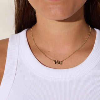 University of Pittsburgh Initial Necklace - Nickel & Suede