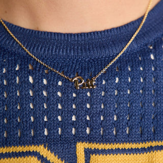 University of Pittsburgh Initial Necklace - Nickel & Suede