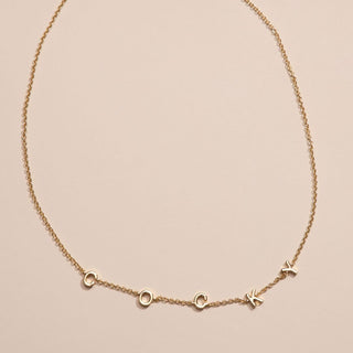 University of South Carolina "COCKY" Initial Necklace - Nickel & Suede