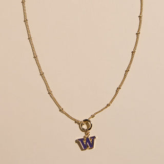 University of Washington Charm Necklace - Nickel & Suede