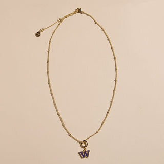 University of Washington Charm Necklace - Nickel & Suede