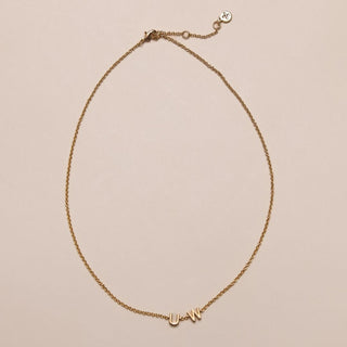 University of Washington Initial Necklace - Nickel & Suede