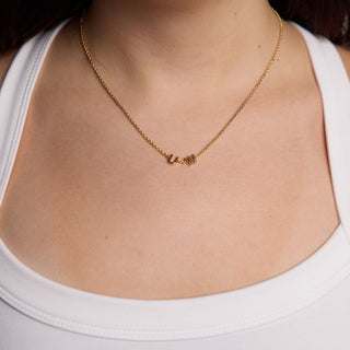 University of Washington Initial Necklace - Nickel & Suede