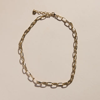 Gold Oval Link Necklace - Nickel & Suede