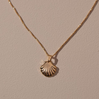 Gold Seashell Necklace - Nickel & Suede